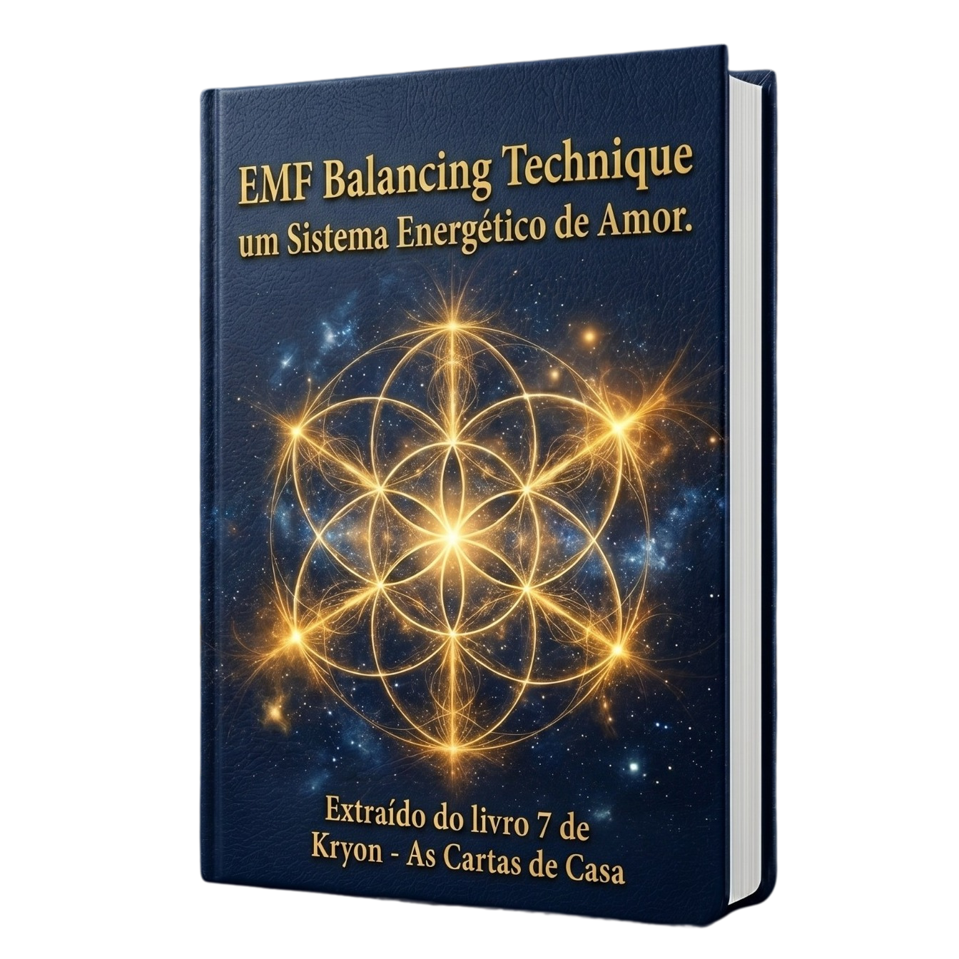 Guia Prático de Calibração PDF